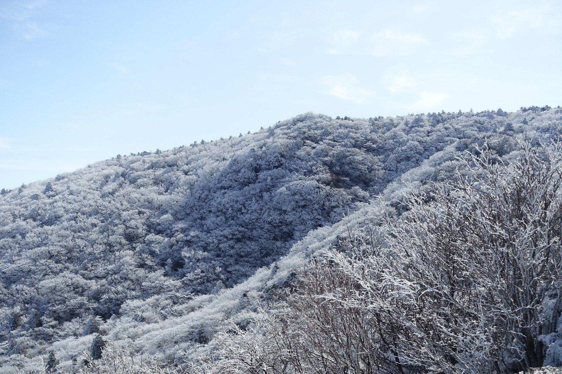  겨울 등산 2월 눈꽃산행 월출산 국립공원