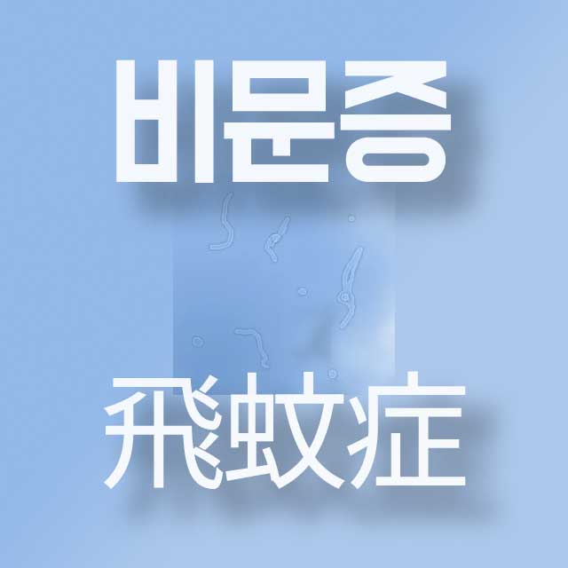 유리체의 불투명도