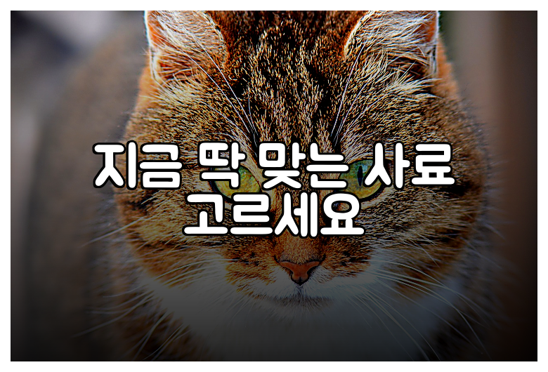 지금 딱 맞는 사료 고르세요