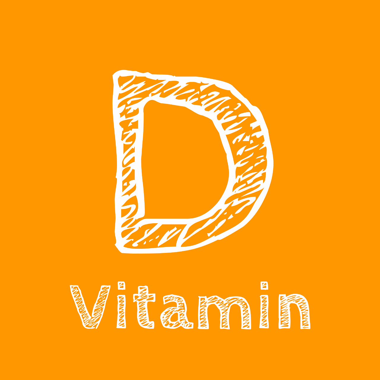 비타민D 효능