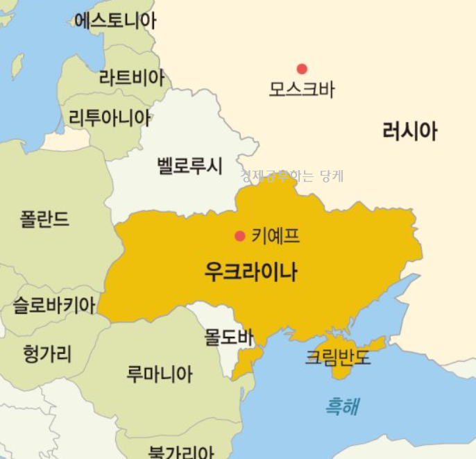  러시아 우크라이나 전쟁 배경과 각국 입장 요약