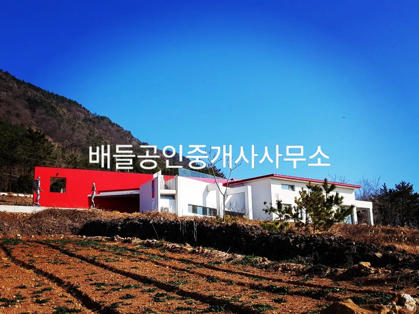 갤러리카페 이미지
