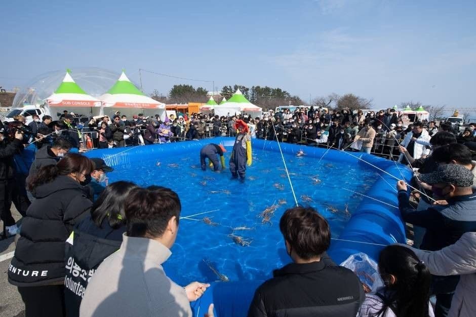 영덕대게축제 2025 ❘ 바다의 보물이 차려지는 대게 미식 여행