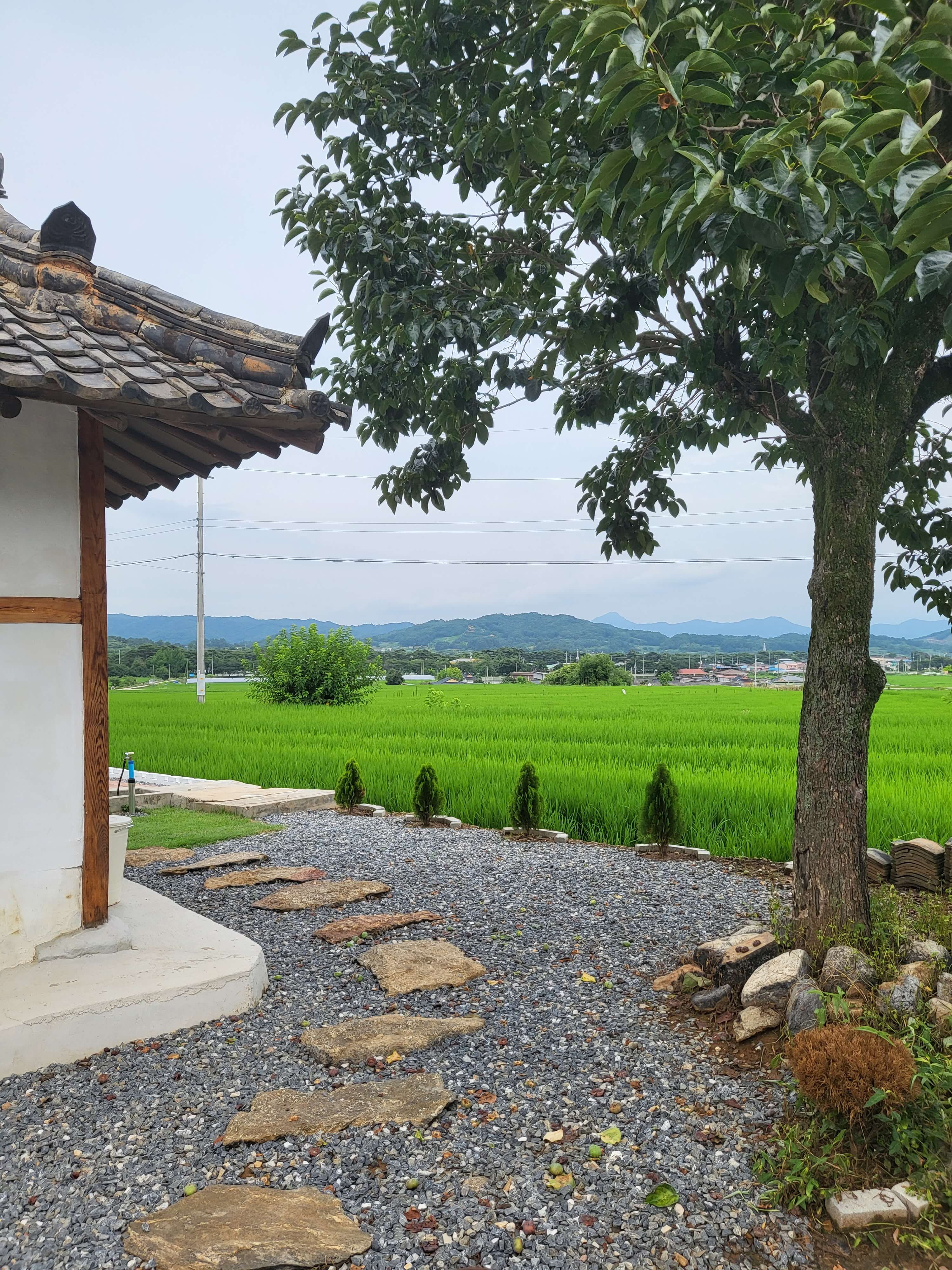경북 숙소 죽림주간