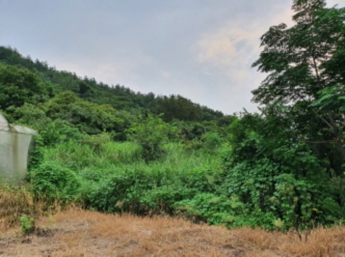 장흥지원2022타경559 부동산표시 1,2번 전경