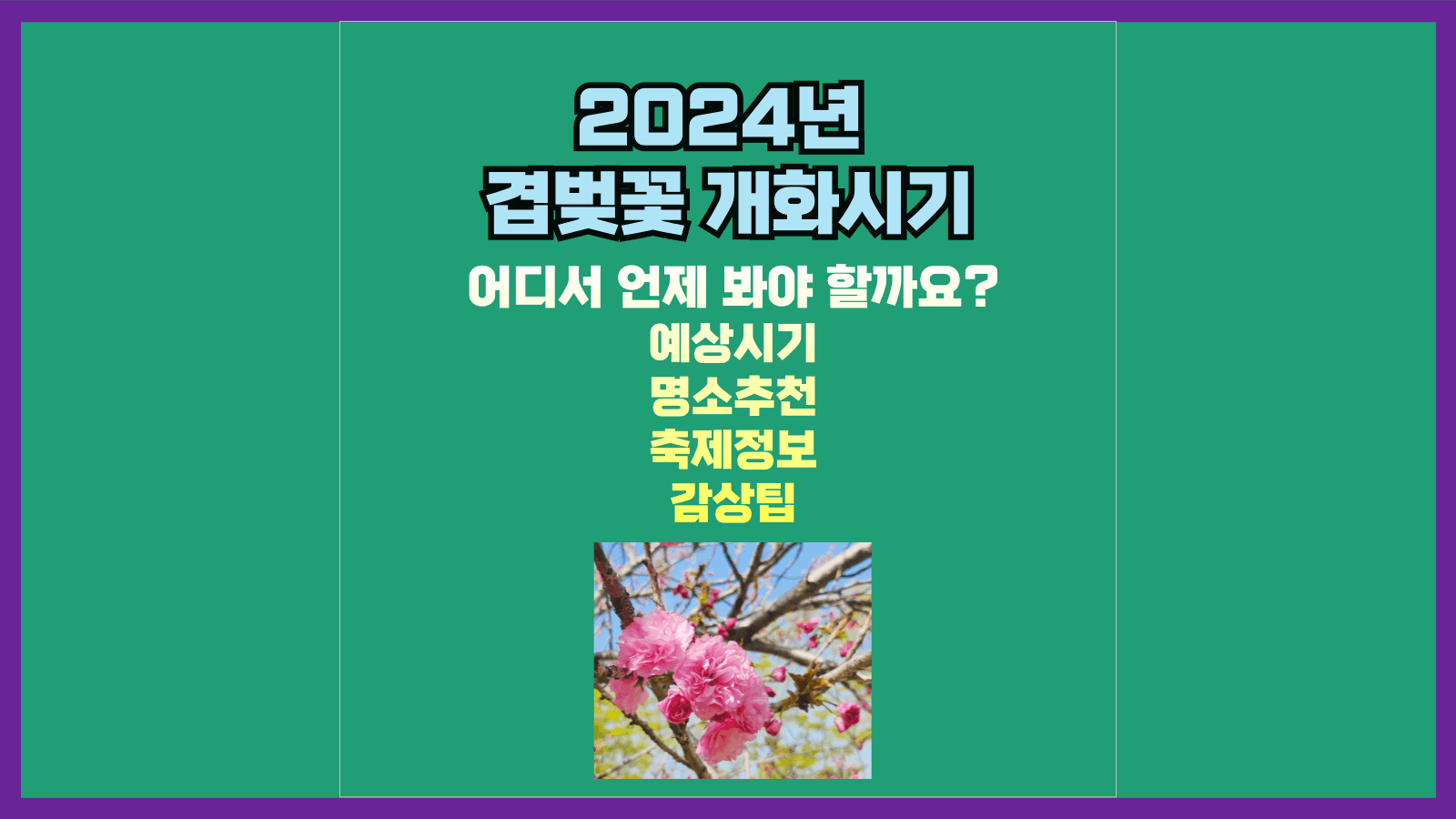 2024년 겹벚꽃 개화시기: 어디서 언제 봐야 할까요?