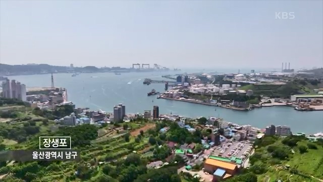 [228회] 동네 한 바퀴 - KBS.ts_20230803_205641.776.jpg