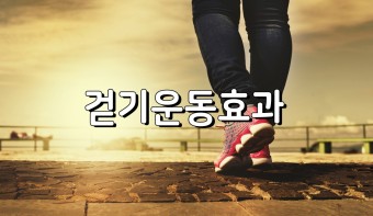  중년 우울증과 알츠하이머 예방 치료에 효과적인 걷기 운동 방법 소개하기