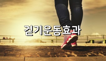 걷기-운동-효과