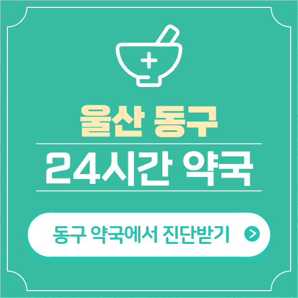  울산 동구 24시간 약국 찾기 | 휴일 야간 심야 일요일 당번약국 7곳
