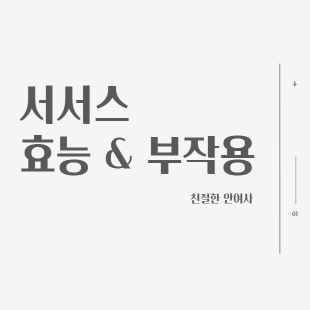 시서스 가루 효능 & 부작용 그리고 먹는방법 ( 다이어트 )