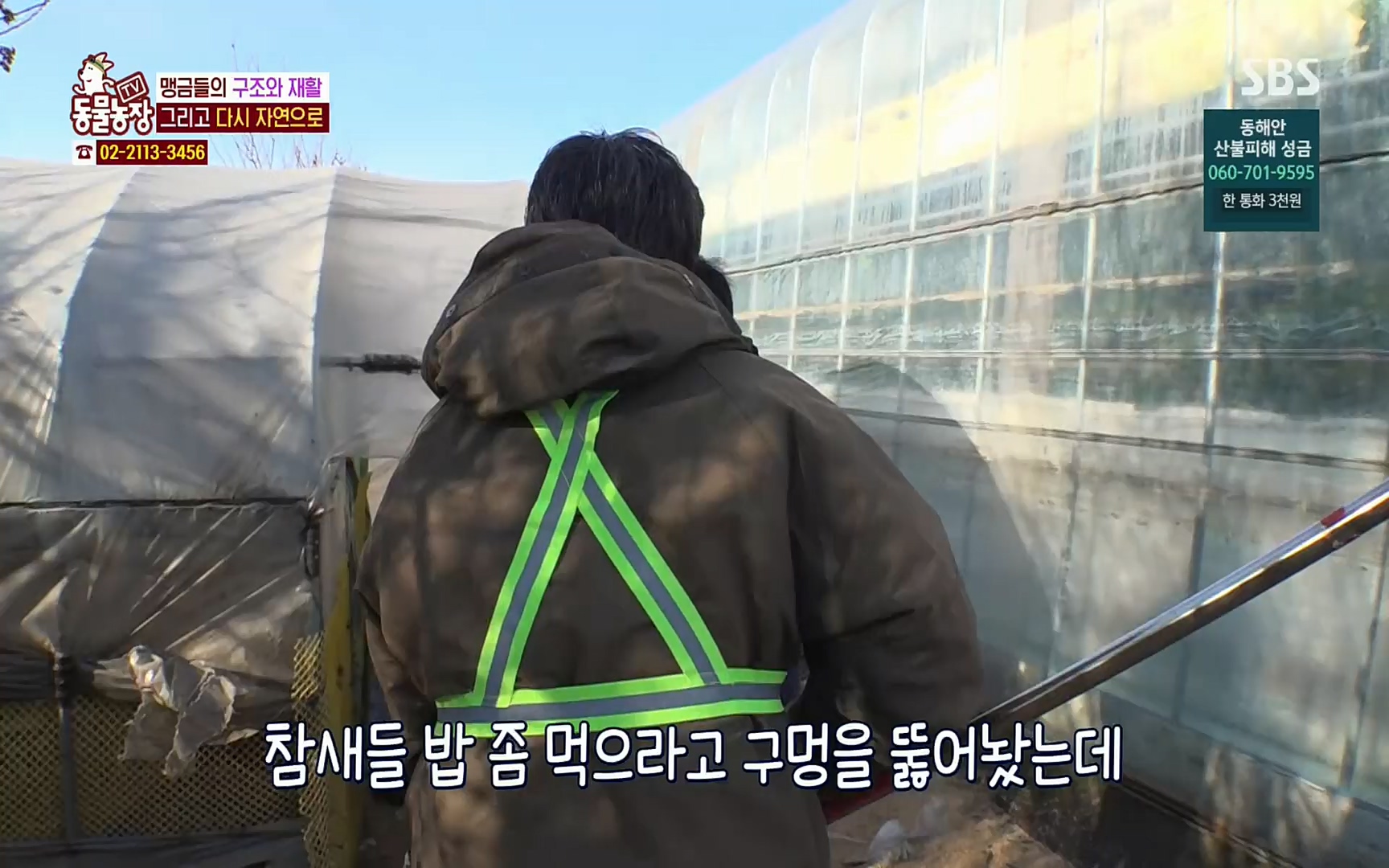 TV 동물농장.E1061.220320p.H264-F1RST.mp4_20220320_183603.622.jpg