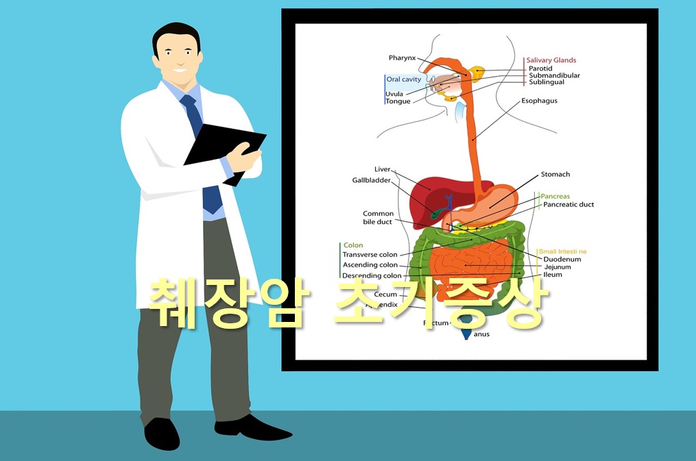  췌장암 초기증상과 췌장암 검사방법