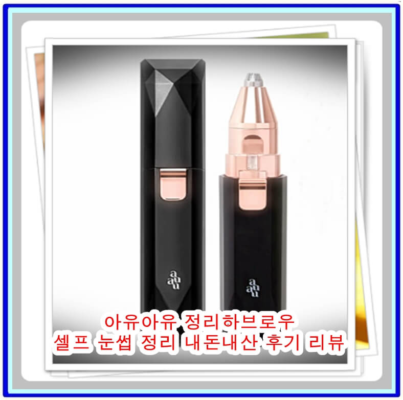  아유아유 정리하브로우 셀프 눈썹 정리 내돈내산 후기 리뷰