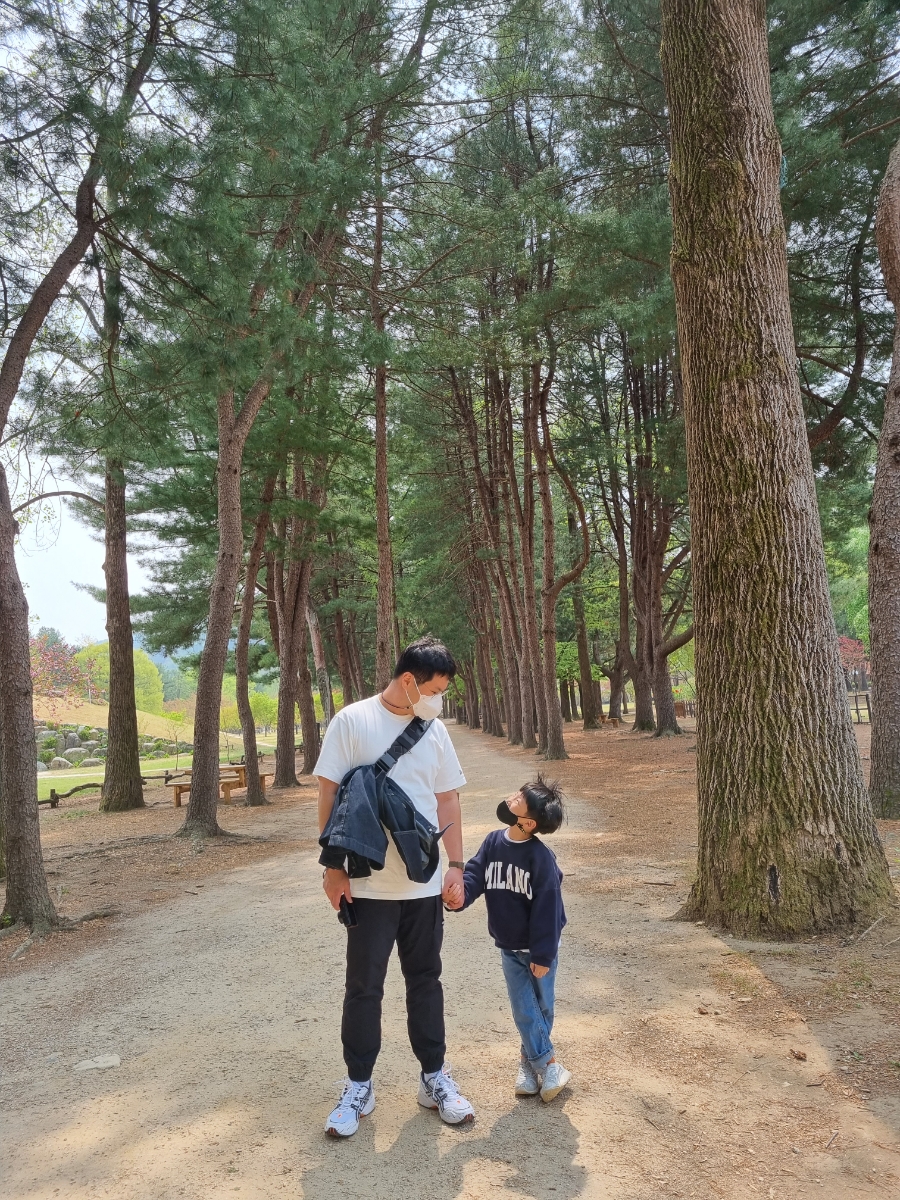 남이섬 배시간표 남이섬 배시간표, 할인 방법, 51