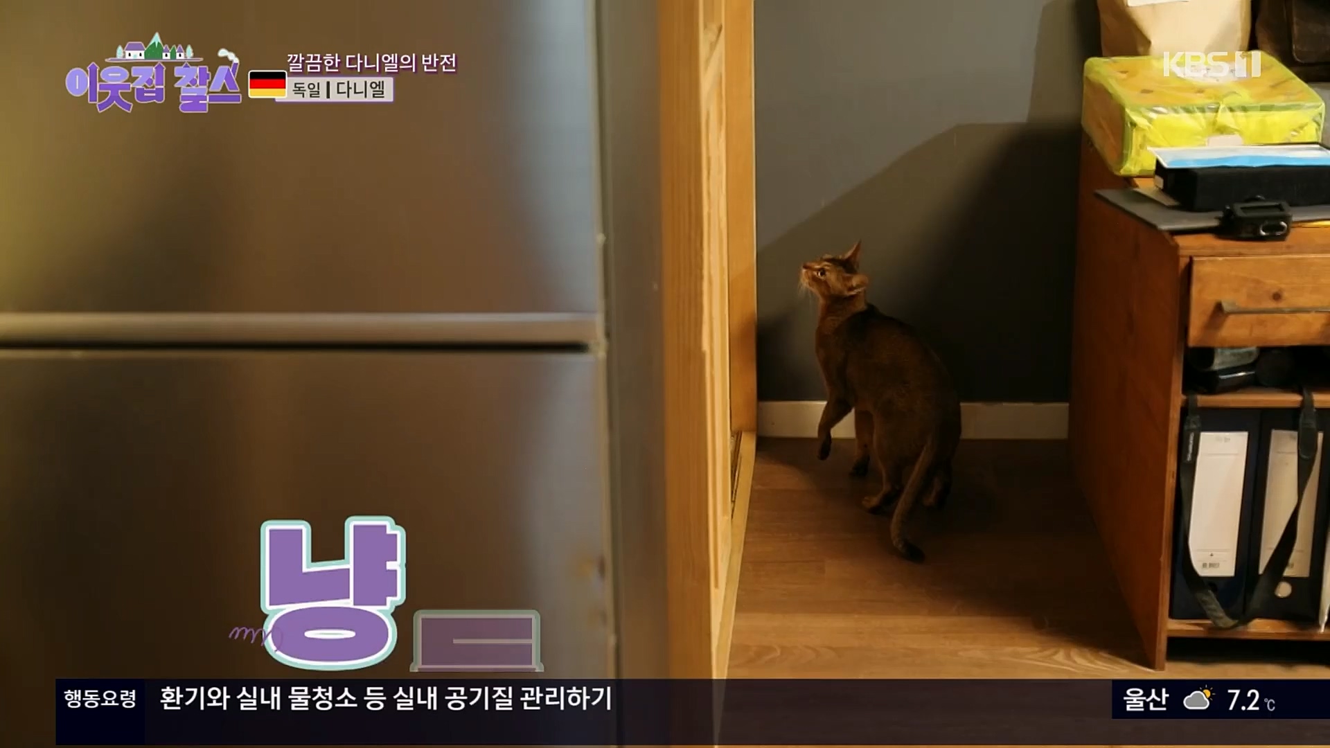 이웃집 찰스.E374.230207p.H264-F1RST.mp4_20230208_202015.383.jpg