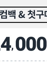 디지털가전