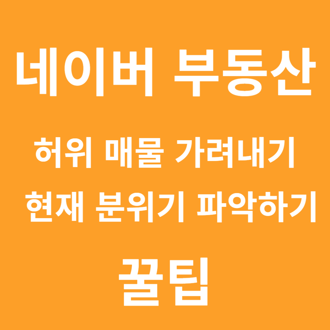 대표 사진