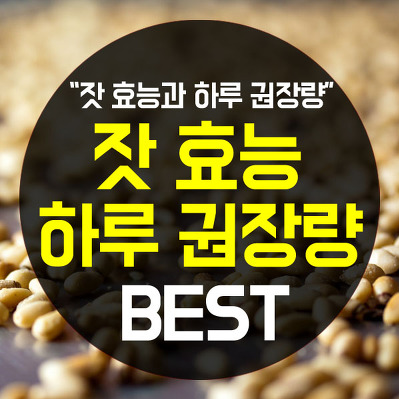  잣효능 BEST 8가지
