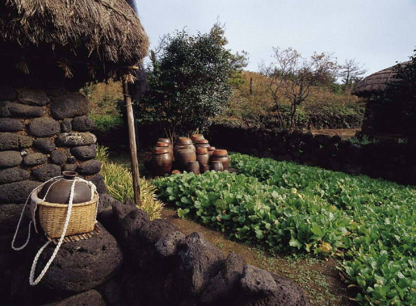 Discovering Jeju&#39;s Beauty