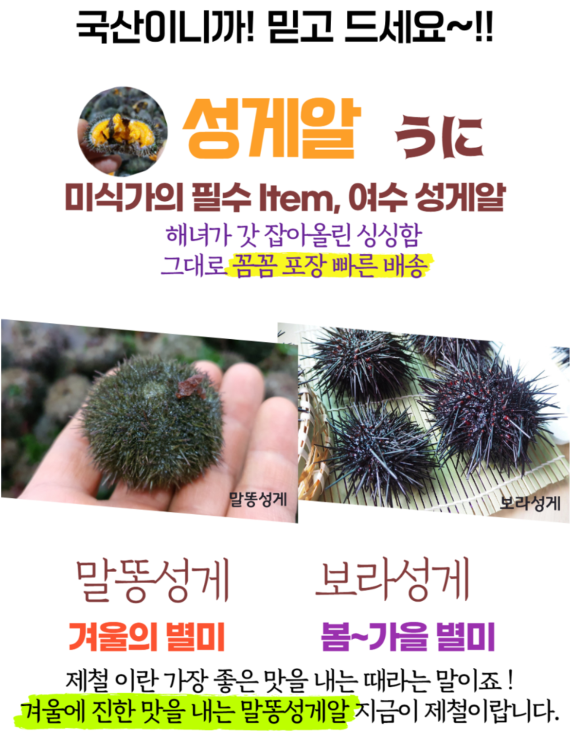 말똥 성게 성게 uni (feat. 한입 먹은 추억 tv) 1