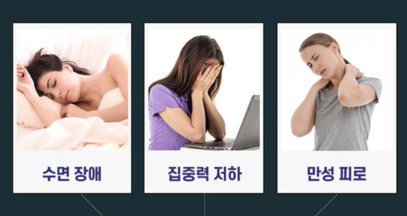  유산균 면역플러스 12월 할인코드 장인정신 에브리데이 브리드 배도라지 레시피 쿠폰