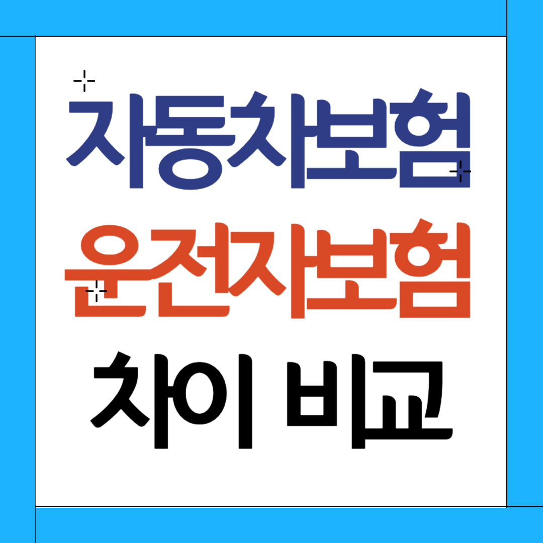 운전자보험 자동차보험