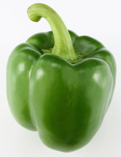 파프리카
