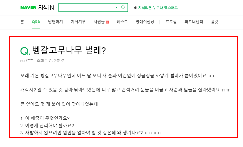 벵갈고무나무 벌레 관련 질문 지식인