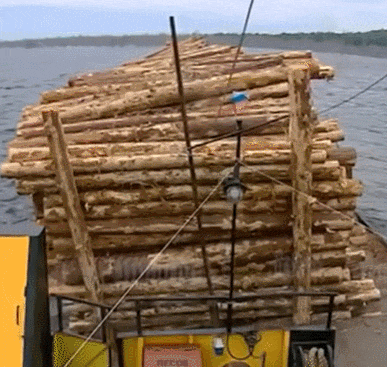  VIDEO: Incredible Moments Caught on Camera