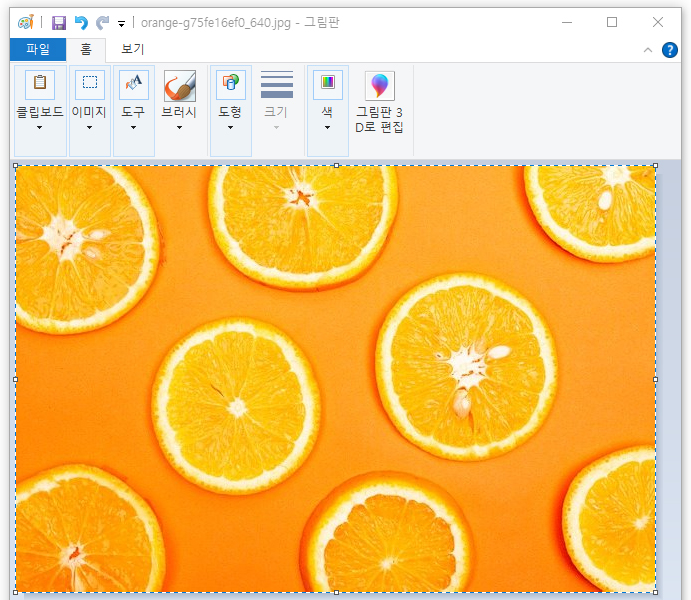 영역 지정된 이미지 확인