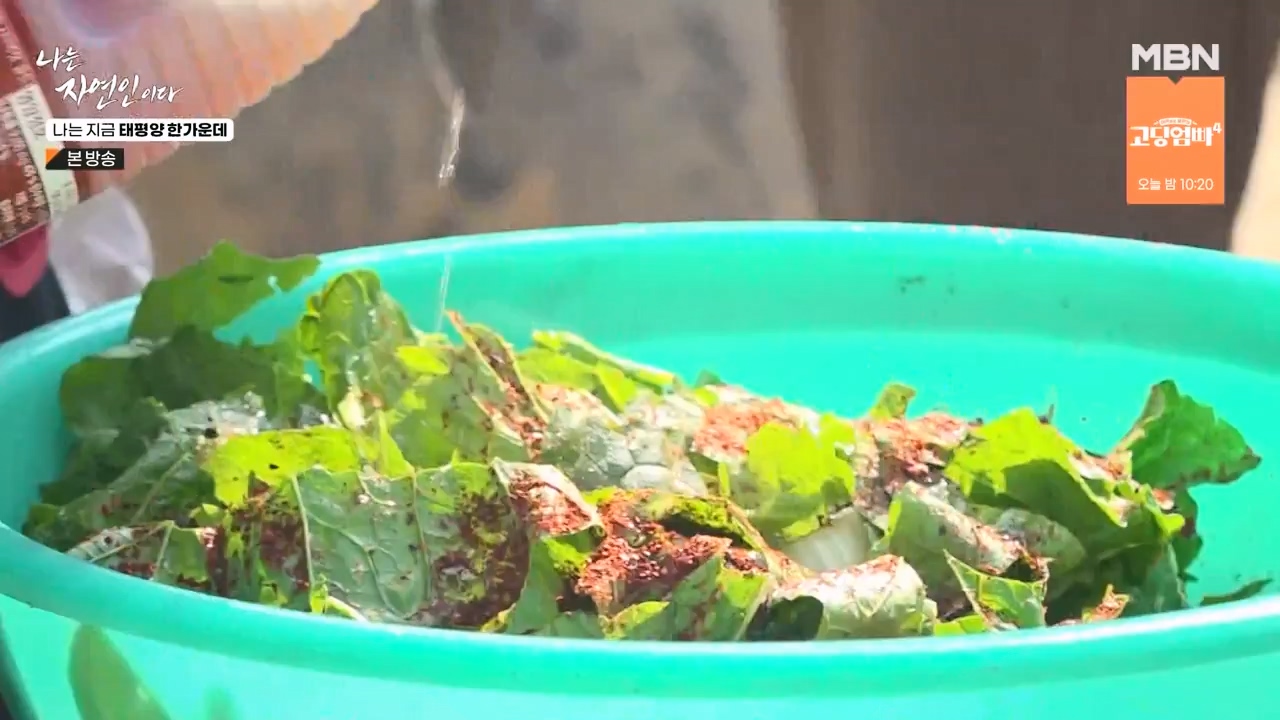 나는 자연인이다.E581.231123p-NEXT.mp4_20231123_200716.784.jpg