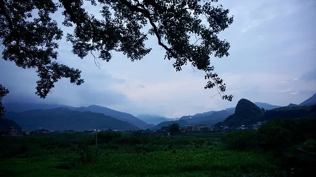 군산 선유도 여행코스 추천 해양 낭만 가득한 섬 드라이브 완벽 가이드_4
