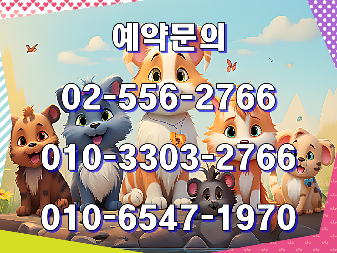  하이원CC 골프패키지 가격, 날씨 0927