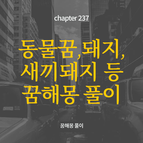 동물의 꿈과 관련된 돼지 꿈,  새끼 돼지 꿈,  꿈의 해석을 이해하기 위한 블로그의 대표 이미지.  나. 큰 돼지가 나오는 꿈