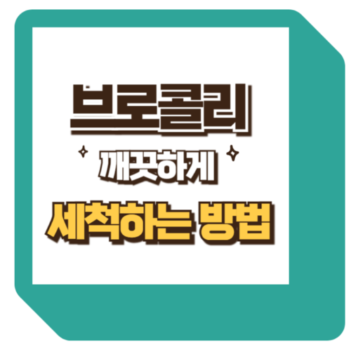 브로콜리 씻는 방법