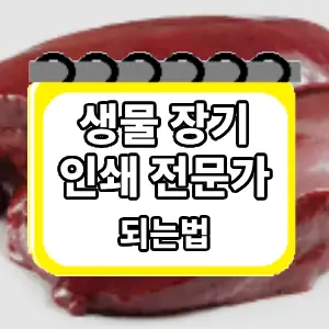 되는법