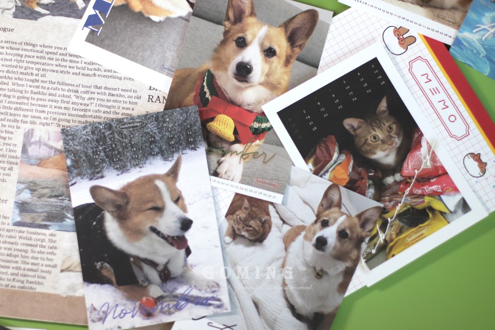 백호랑이 주문, 이웃집의 죽도록 사랑해!!!! 2