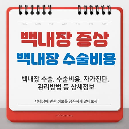  백내장 증상과 수술비용 및 자가진단 정리