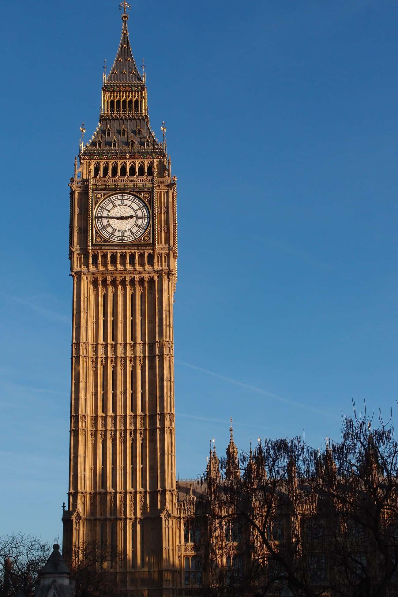 런던의 상징적인 시계탑은 세계에서 가장 잘못 식별된 랜드마크 중 하나입니다. 종종 &quot; 빅 벤 &quot; 이라고 불리지만 시계탑 자체는 엘리자베스 2세 여왕의 이름을 따서 엘리자베스 타워로 명명되었습니다. (다이아몬드 희년 이전에 새 이름을 받았을 때 이 탑은 단순히 Great Clock 이라고 불렸습니다 .)

&quot;빅 벤&quot;이라는 이름은 실제로 모든 도시가 들을 수 있도록 매시 종소리를 울리는 시계 내부의 거대한 13톤 종을 가리킵니다. 이 종은 1834년 화재 이후 의회 재건을 감독한 벤자민 홀 경의 이름을 따서 별명을 얻었을 가능성이 큽니다. 프로젝트 기간 동안 최초의 작업 위원인 그의 이름은 종 외부에 새겨져 있습니다. 

그러나 &quot;빅 벤&quot;이라는 용어가 시계 자체가 아니라 타워 내부의 종을 가리키는 것임을 아는 사람들조차도 때때로 그것이 19세기 챔피언 권투 선수인 Ben Caunt의 이름을 따서 명명되었다고 믿습니다. 그러나 1856년 런던 신문에 실린 뉴스 기사는 문제를 해결합니다.

우리는 모든 종이 울리기 전에 세례를 받는다고 믿습니다... 그리고 이 경우 종의 왕인 벤자민 홀(Benjamin Hall) 경을 기리기 위해 &quot;빅 벤&quot;이라고 부를 것을 제안했습니다. 사무실이 캐스팅되었습니다.