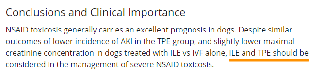 개의 NSAID 치료 2