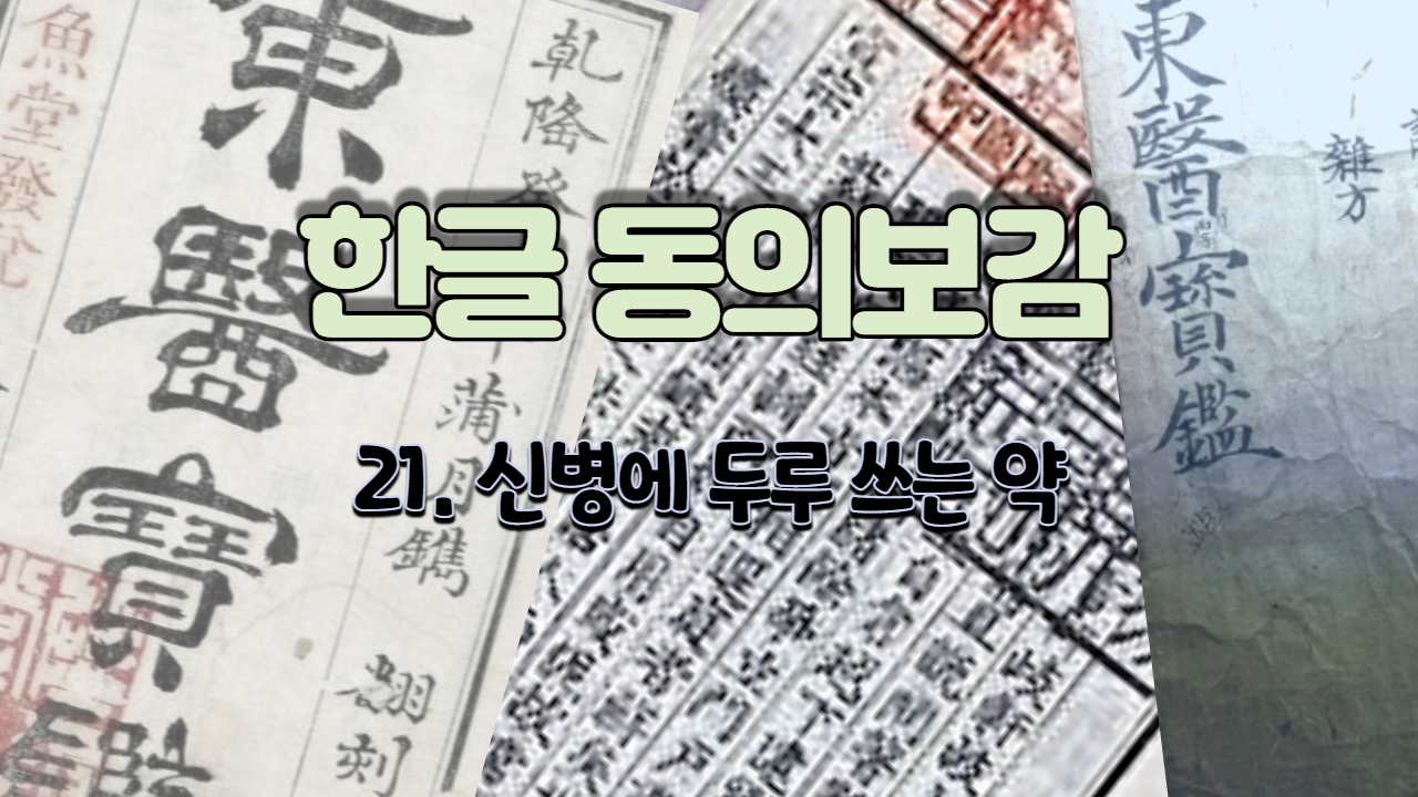  21. 신병에 두루 쓰는 약 ( 내경편 신 )