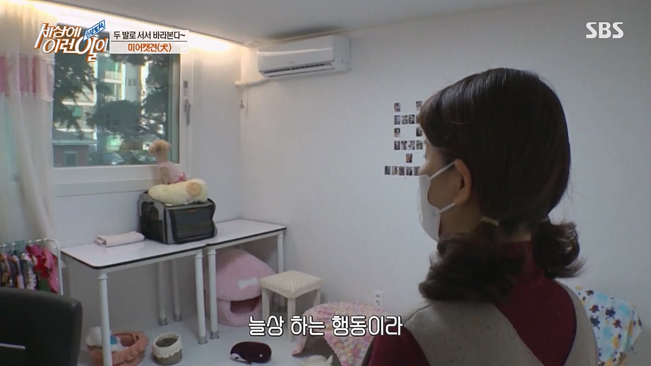 순간포착 세상에 이런일이.E1216.230208p-NEXT.mp4_20230208_194154.841.jpg