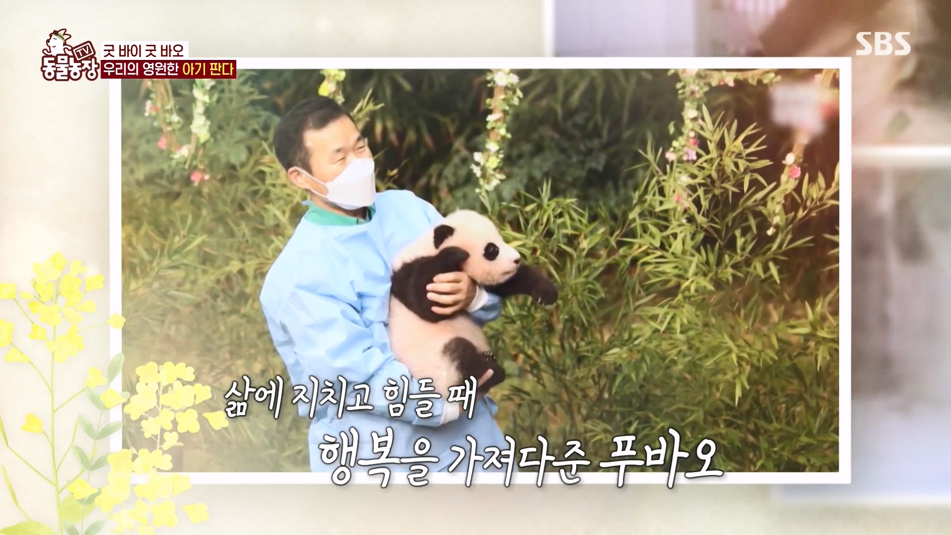 TV 동물농장.E1166.240407p-NEXT.mp4_20240407_164510.426.jpg