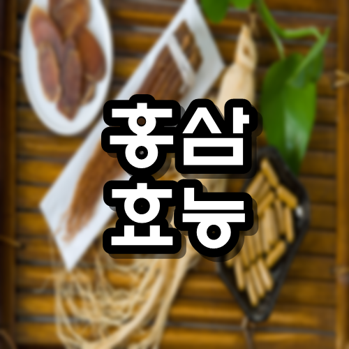  홍삼 효능