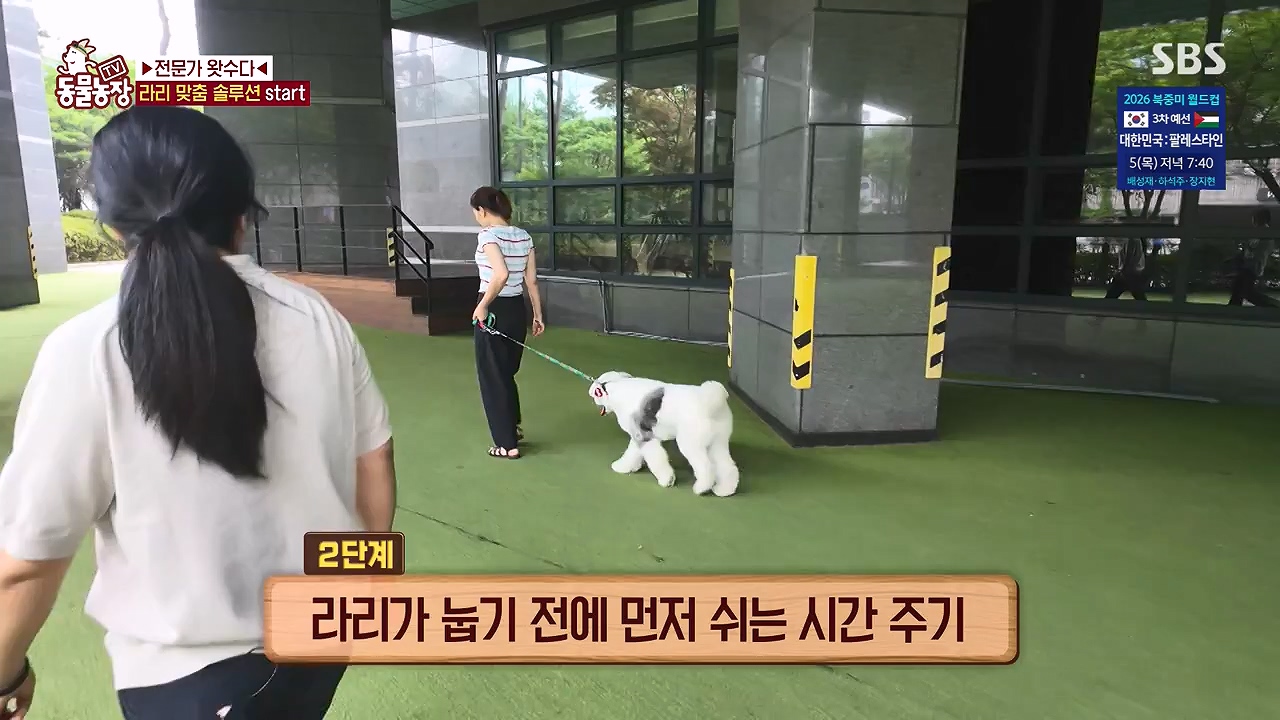 TV 동물농장.E1187.240902p-NEXT.mp4_20240901_155457.533.jpg