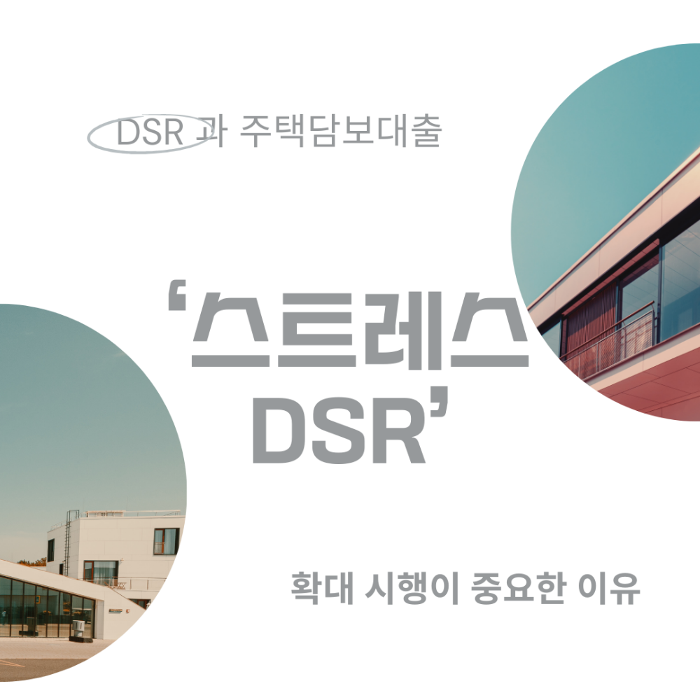 스트레스DSR