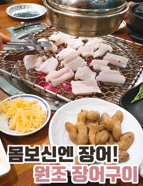  바다장어가 맛있는 부산 사직 원조장어구이