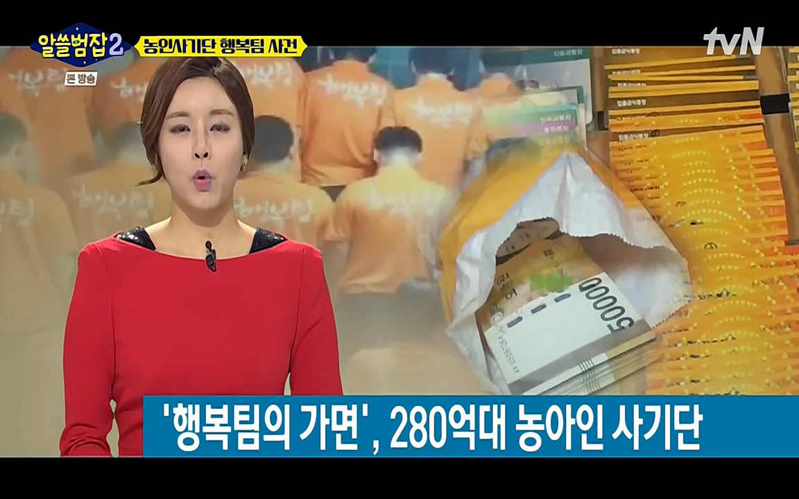 알쓸범잡 2.E11.220321p-NEXT.mp4_20220321_182729.242.jpg