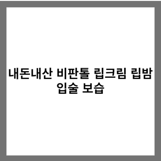 내돈내산 비판톨 립크림 립밤 입술 보습